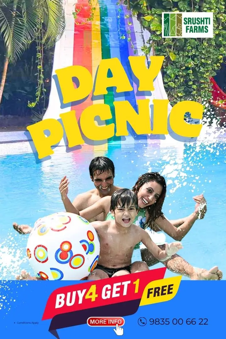 SF day picnic website banner webp