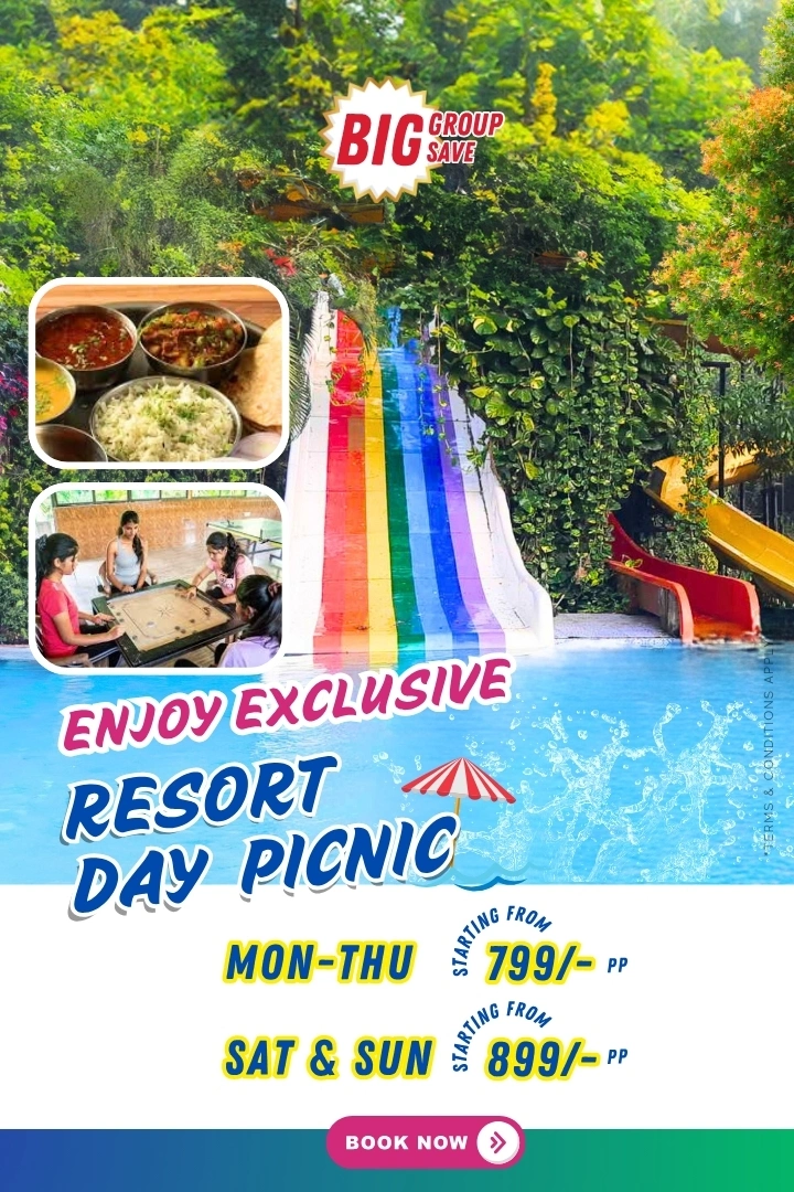 all day picnic