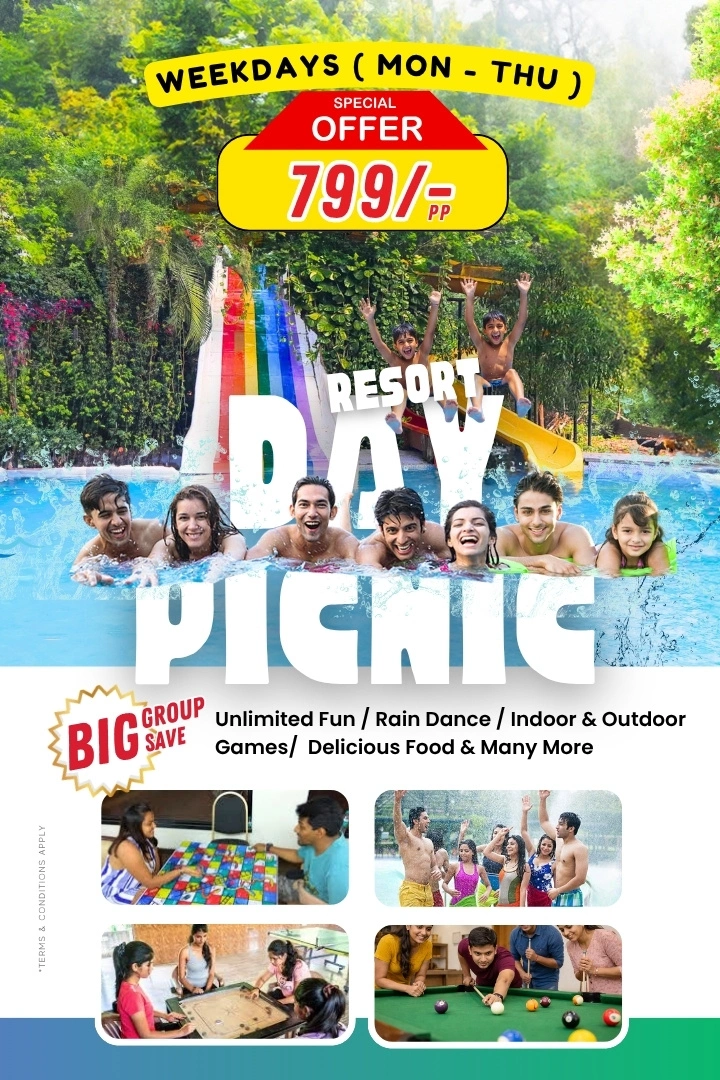 Day Picnic Offer